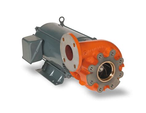 berkeley 10 hp water pump